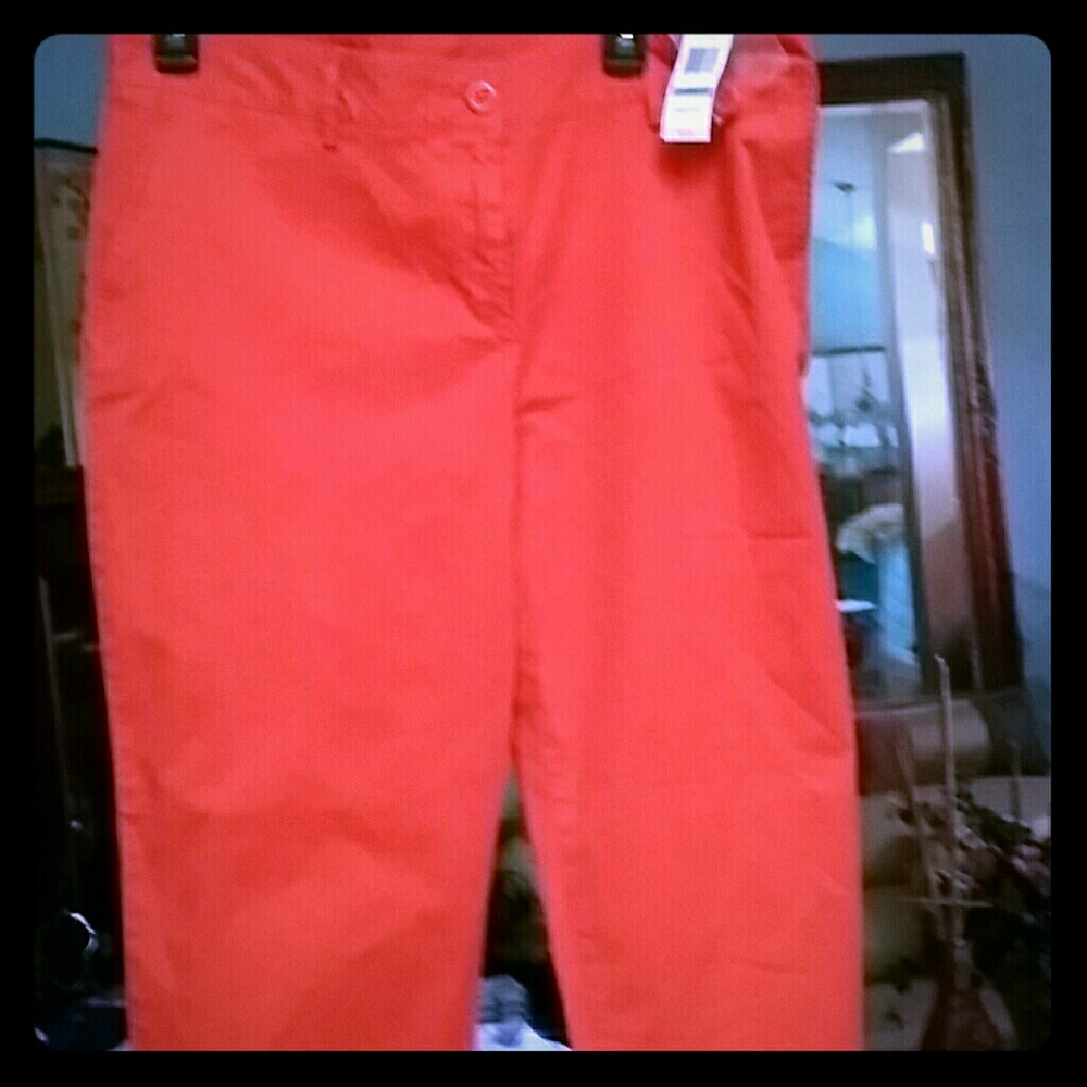 Women's Nautical Capri Pants